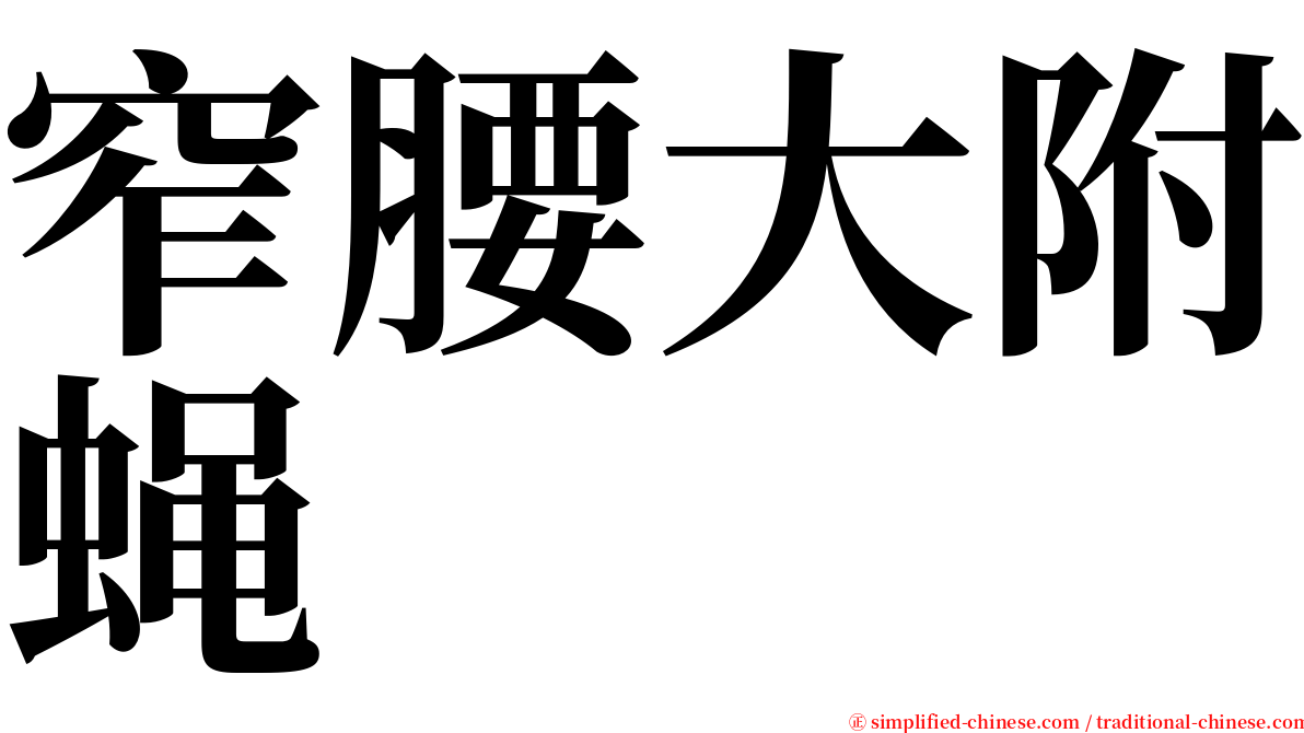 窄腰大附蝇 serif font