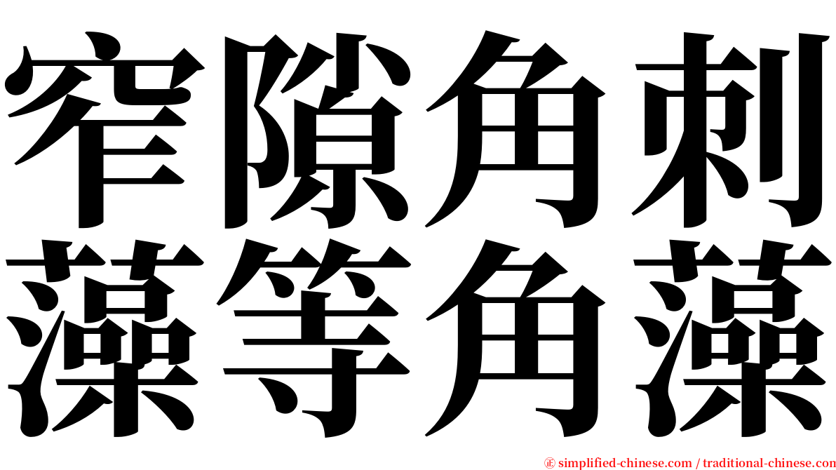 窄隙角刺藻等角藻 serif font