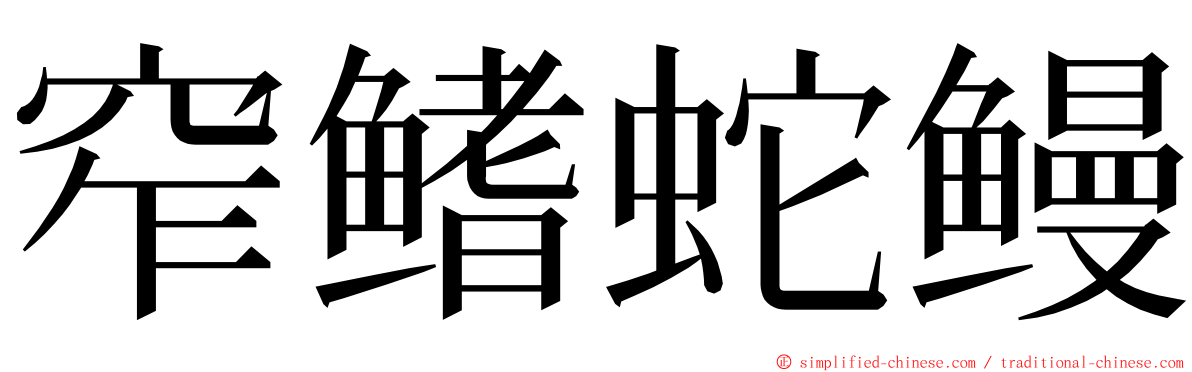 窄鳍蛇鳗 ming font