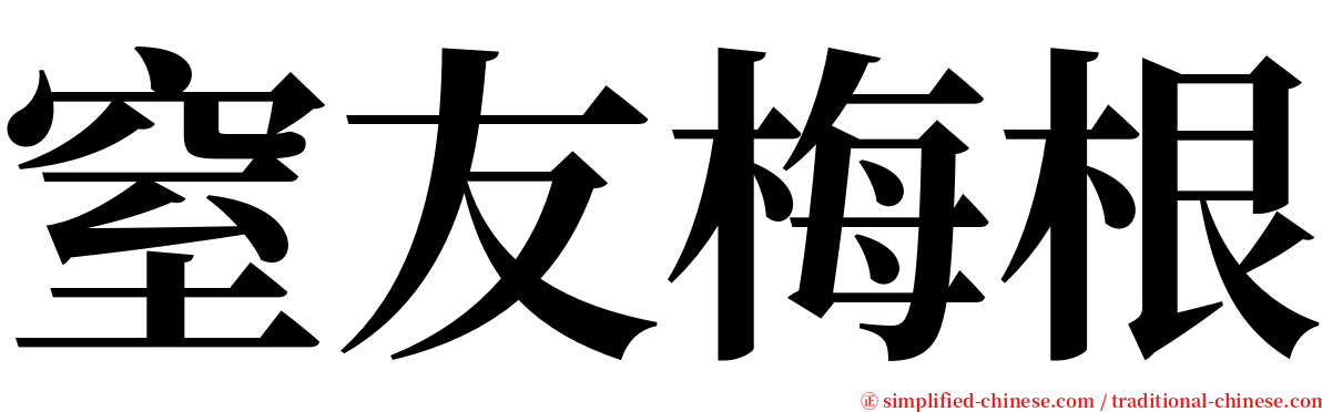 窒友梅根 serif font