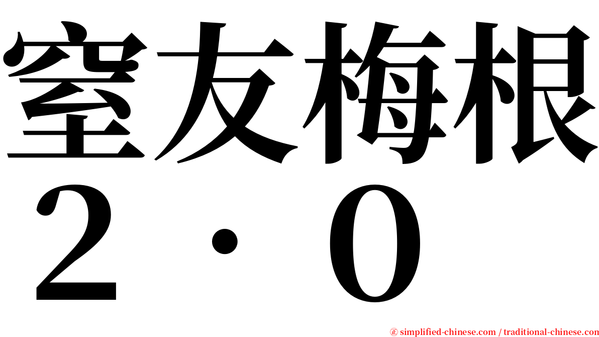 窒友梅根２．０ serif font