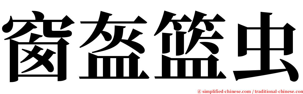 窗盔篮虫 serif font