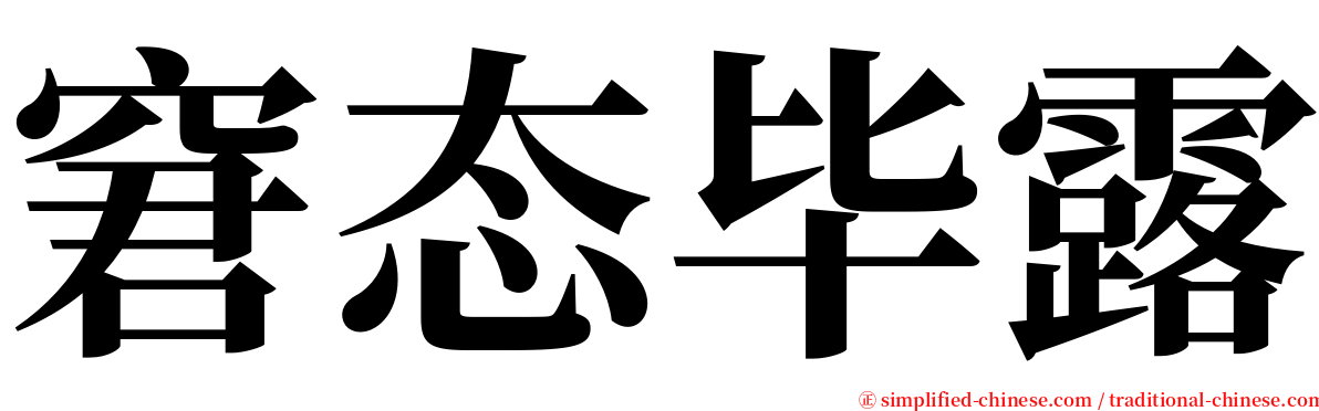 窘态毕露 serif font