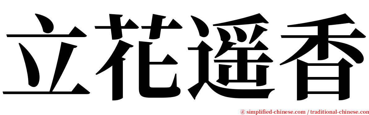 立花遥香 serif font