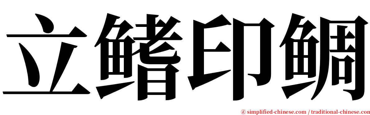 立鳍印鲷 serif font