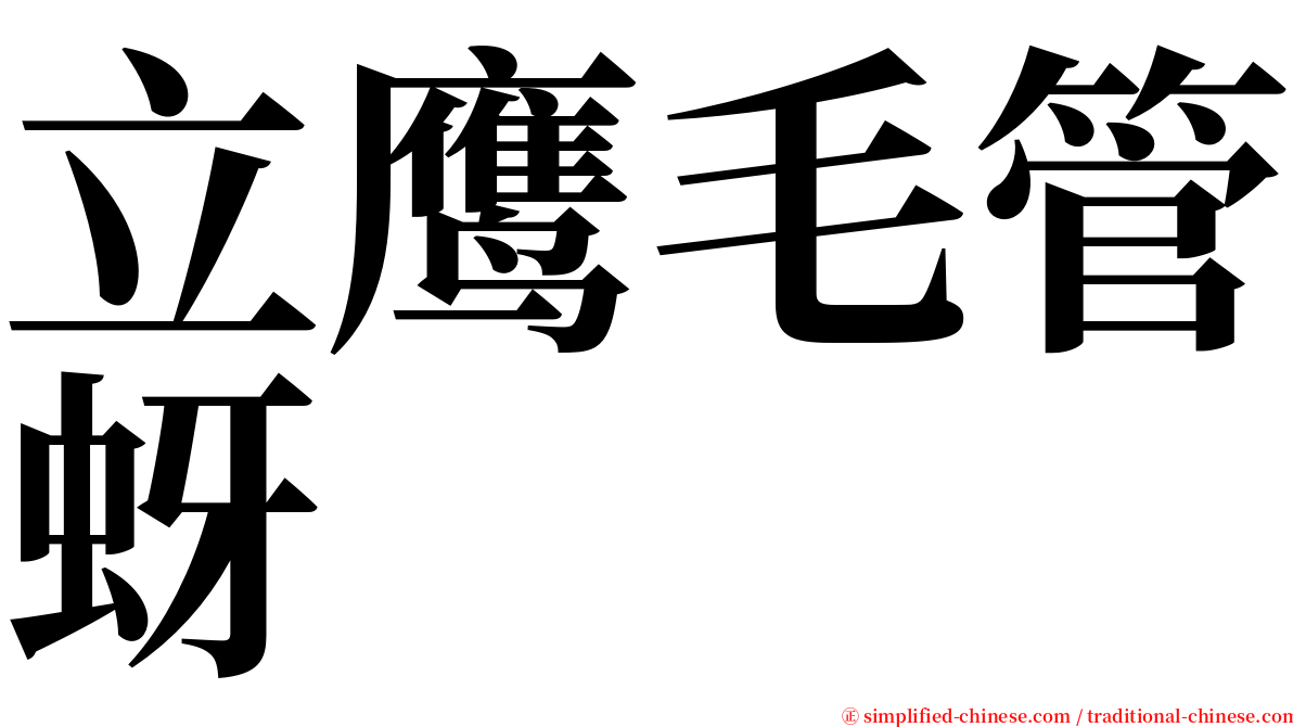 立鹰毛管蚜 serif font