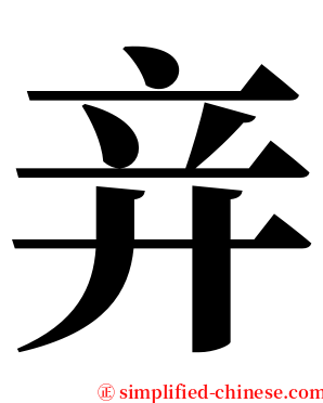 竎 serif font