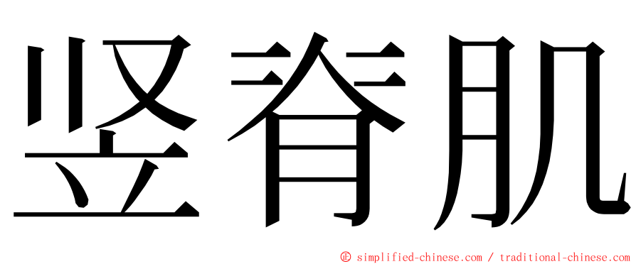 竖脊肌 ming font