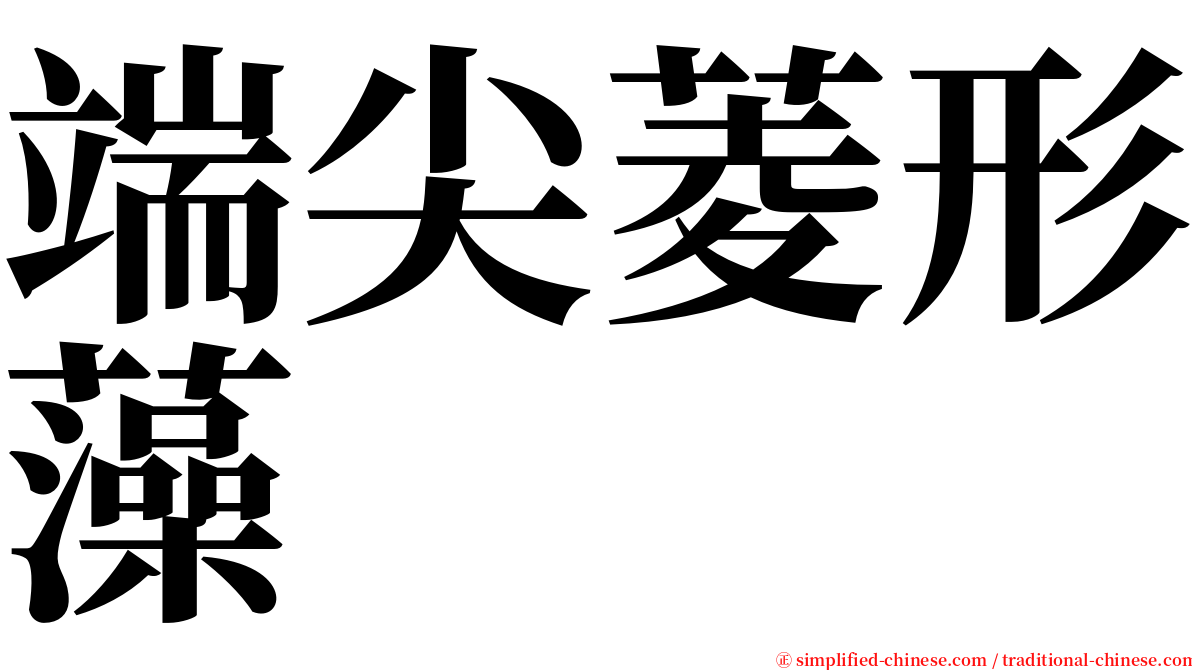 端尖菱形藻 serif font