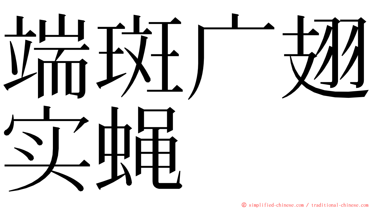 端斑广翅实蝇 ming font