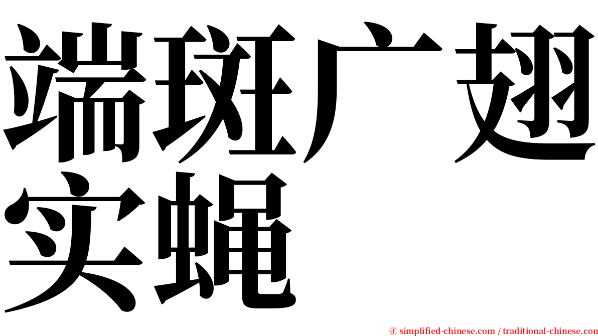 端斑广翅实蝇 serif font