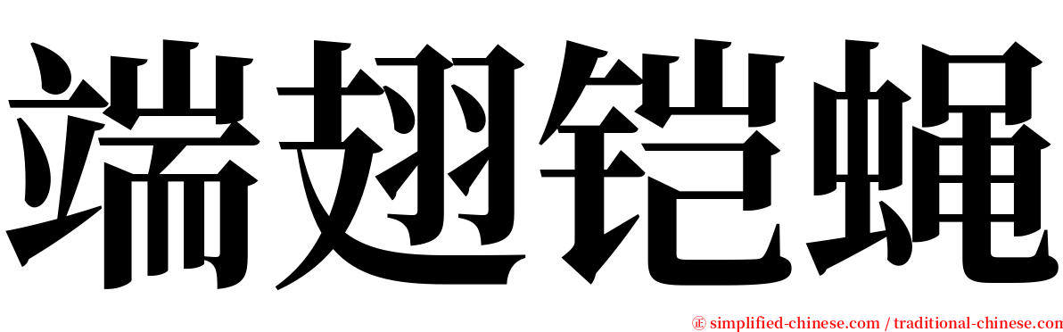 端翅铠蝇 serif font