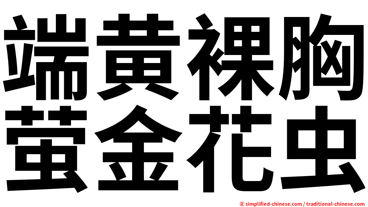 端黄裸胸萤金花虫