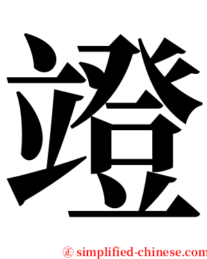 竳 serif font