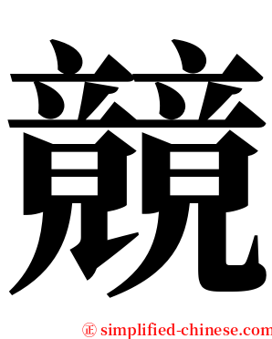 竸 serif font