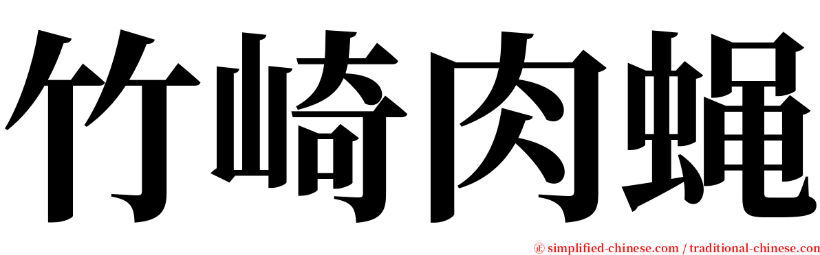 竹崎肉蝇 serif font