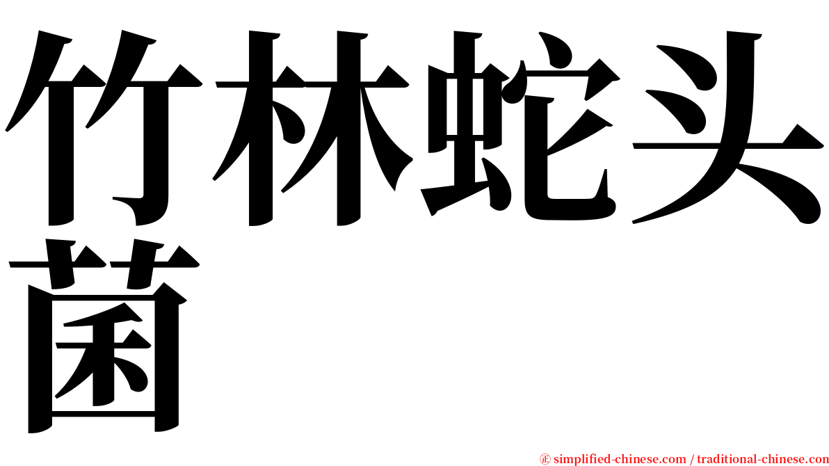 竹林蛇头菌 serif font