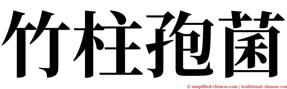 竹柱孢菌 serif font