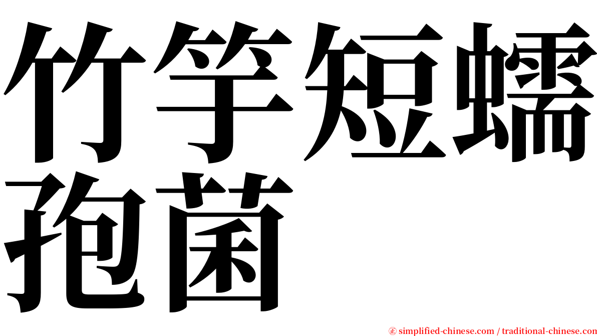 竹竽短蠕孢菌 serif font