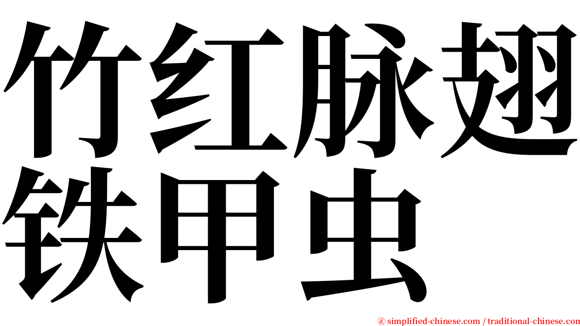 竹红脉翅铁甲虫 serif font