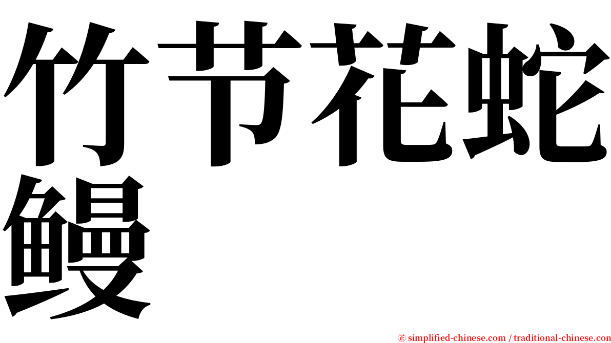 竹节花蛇鳗 serif font