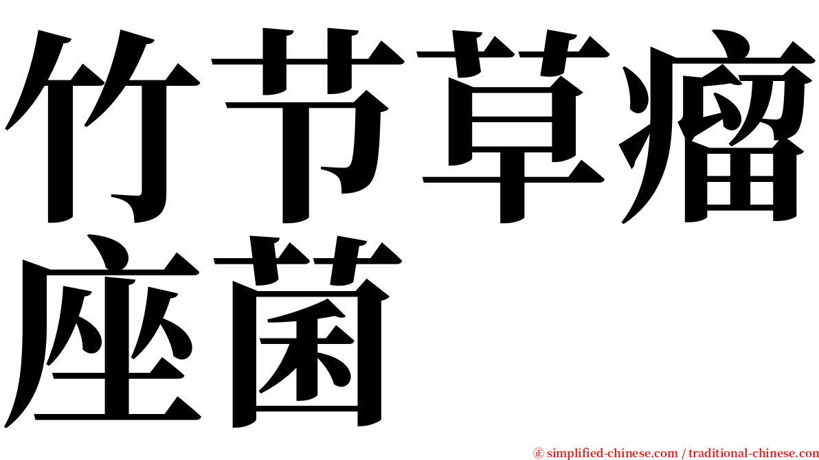 竹节草瘤座菌 serif font