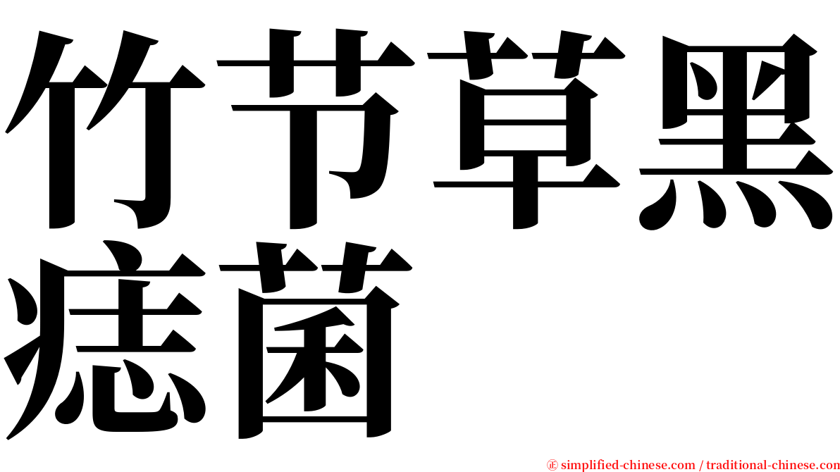 竹节草黑痣菌 serif font