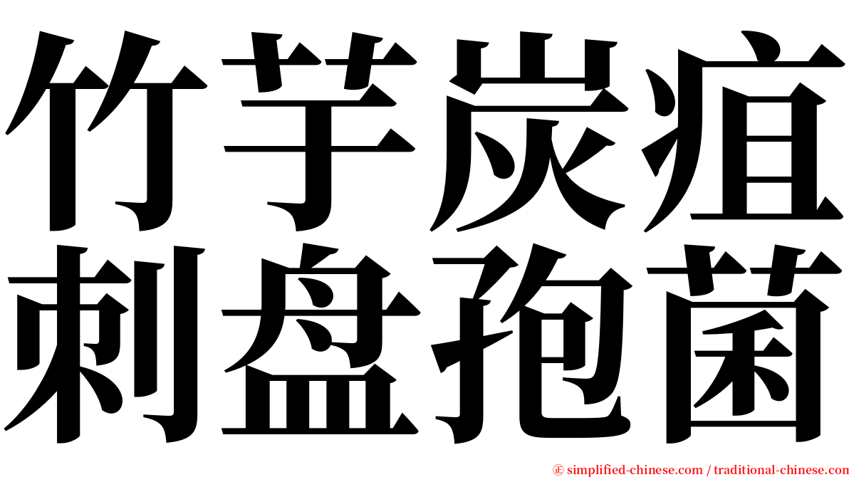 竹芋炭疽刺盘孢菌 serif font