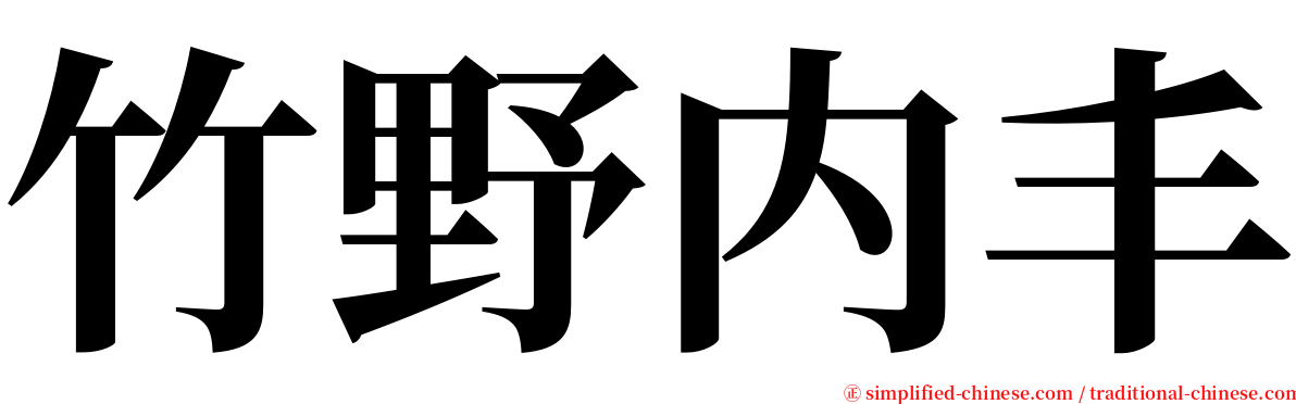 竹野内丰 serif font