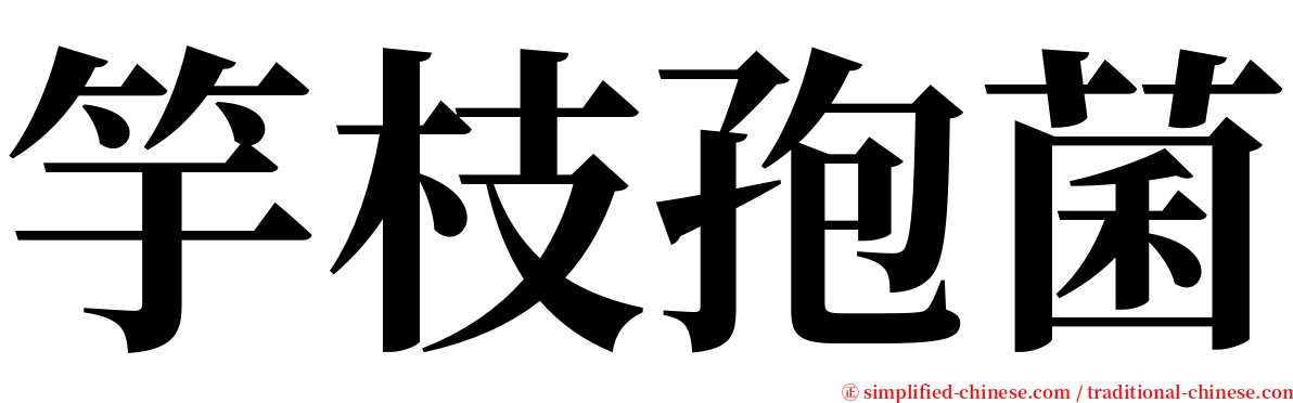 竽枝孢菌 serif font