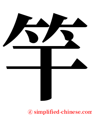 竿 serif font