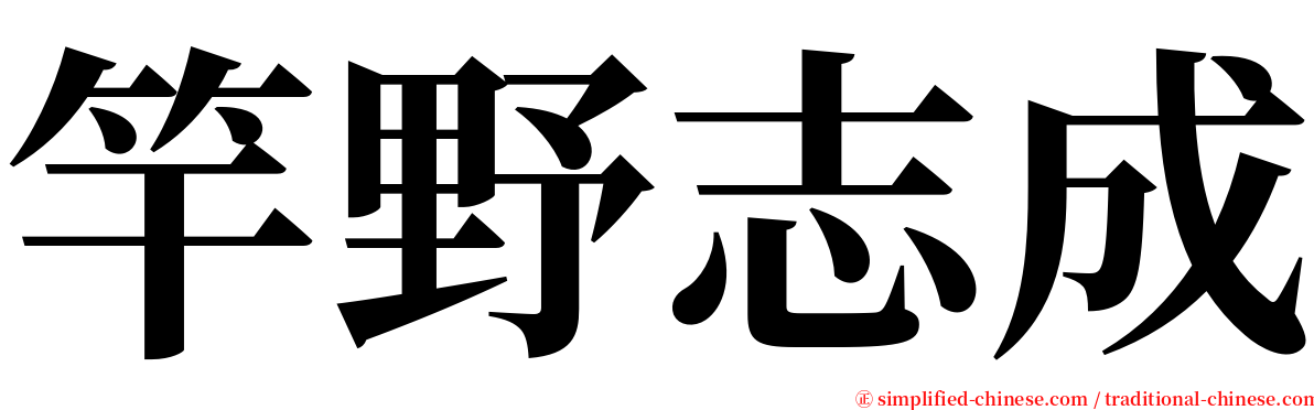 竿野志成 serif font