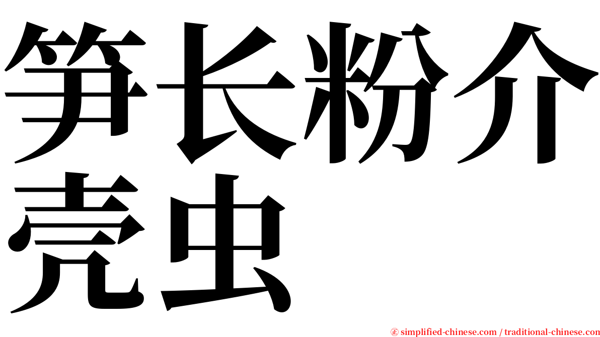 笋长粉介壳虫 serif font