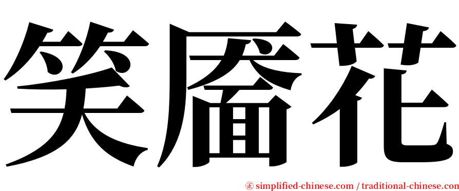 笑靥花 serif font