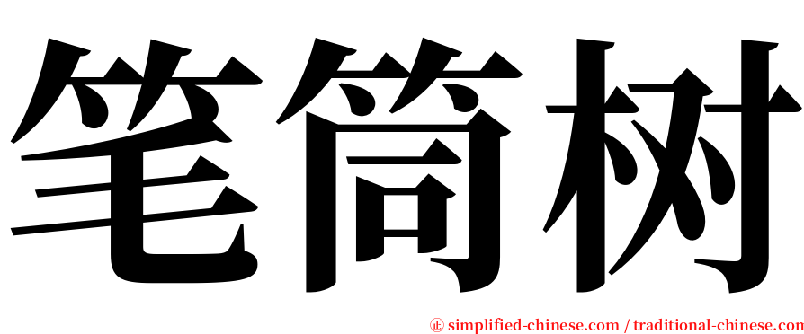 笔筒树 serif font