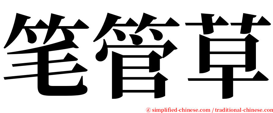 笔管草 serif font