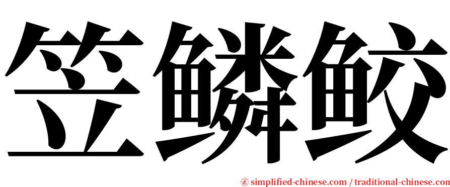 笠鳞鲛 serif font