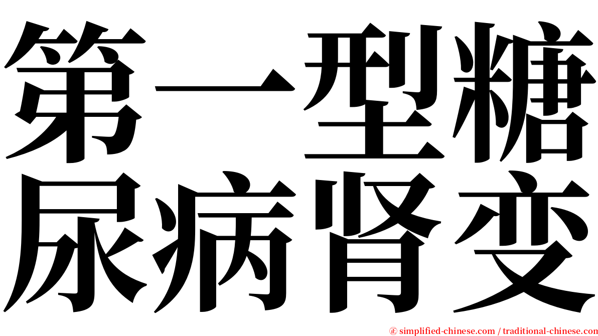 第一型糖尿病肾变 serif font