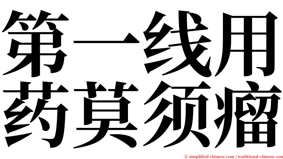 第一线用药莫须瘤 serif font