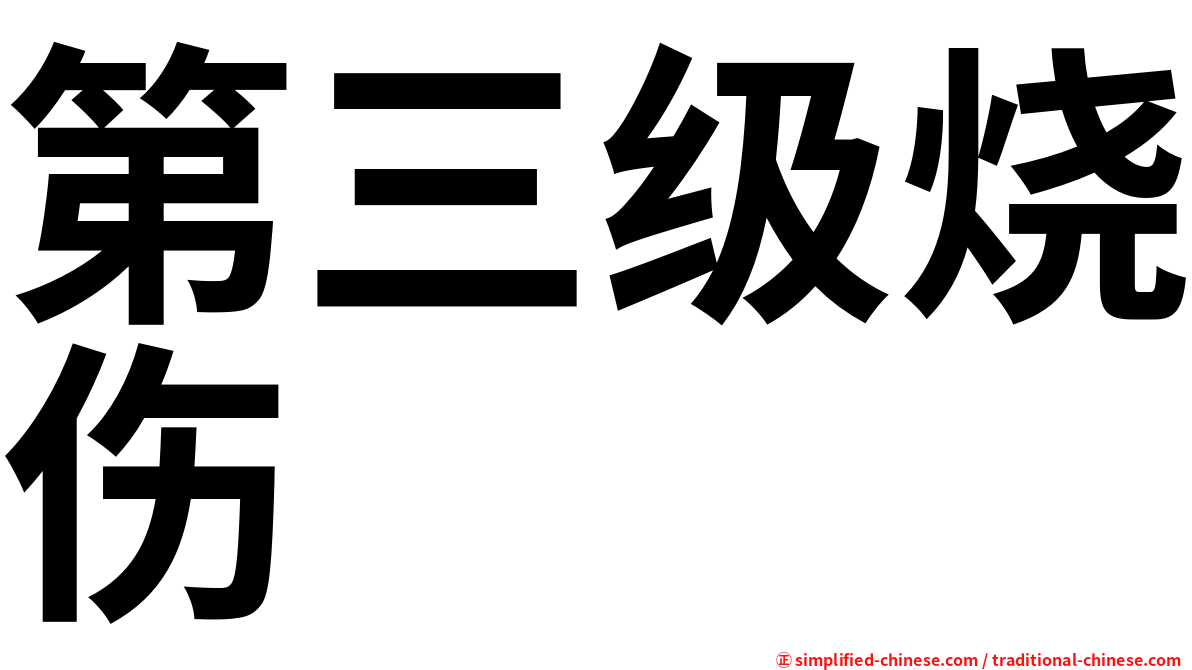 第三级烧伤