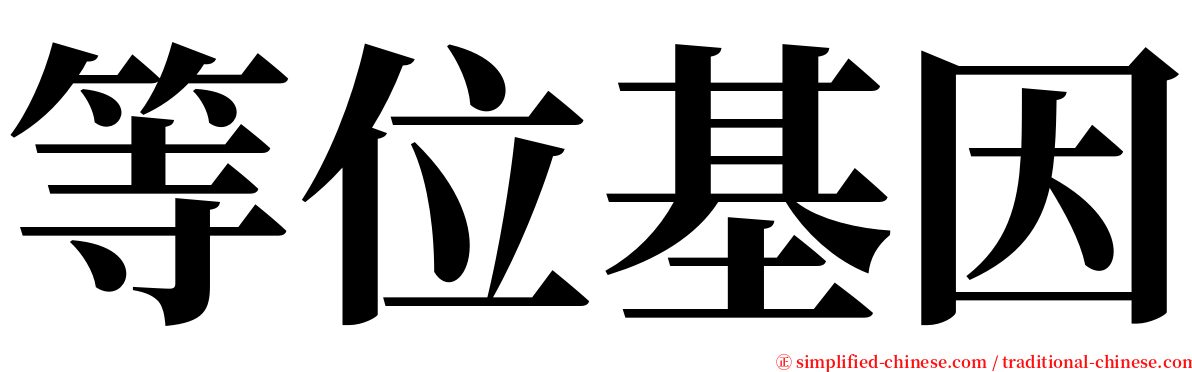 等位基因 serif font