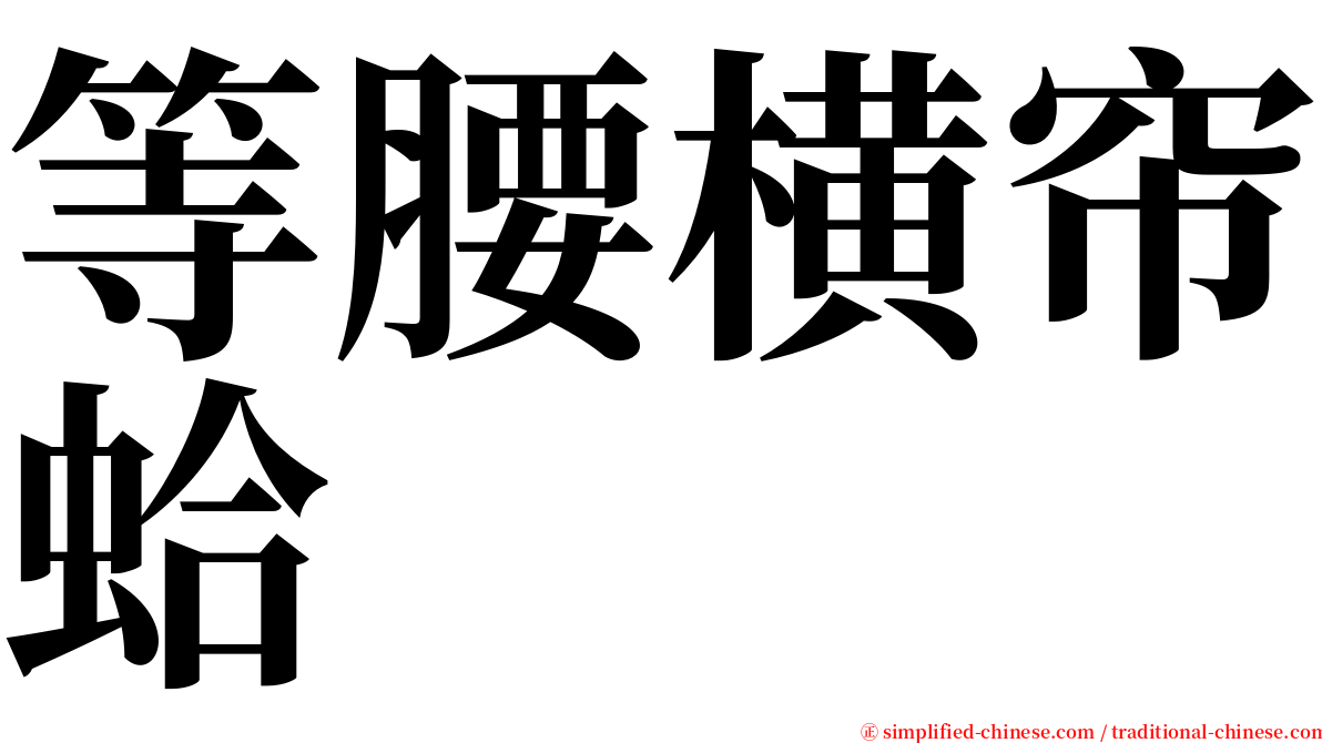 等腰横帘蛤 serif font