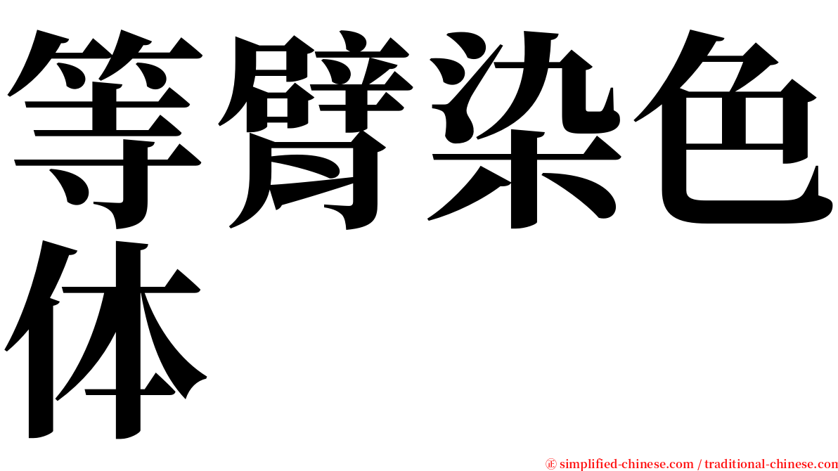 等臂染色体 serif font