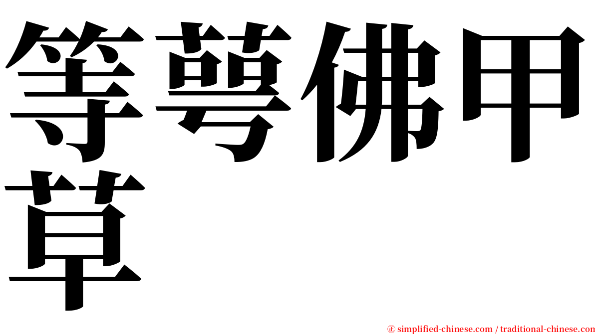 等萼佛甲草 serif font