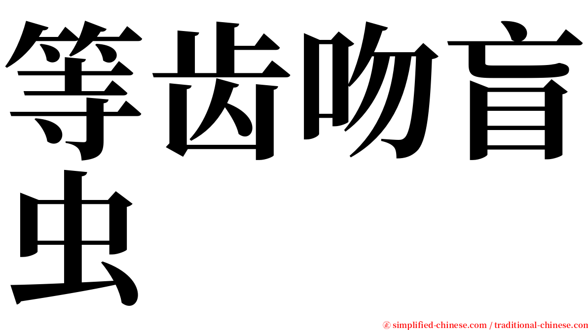 等齿吻盲虫 serif font