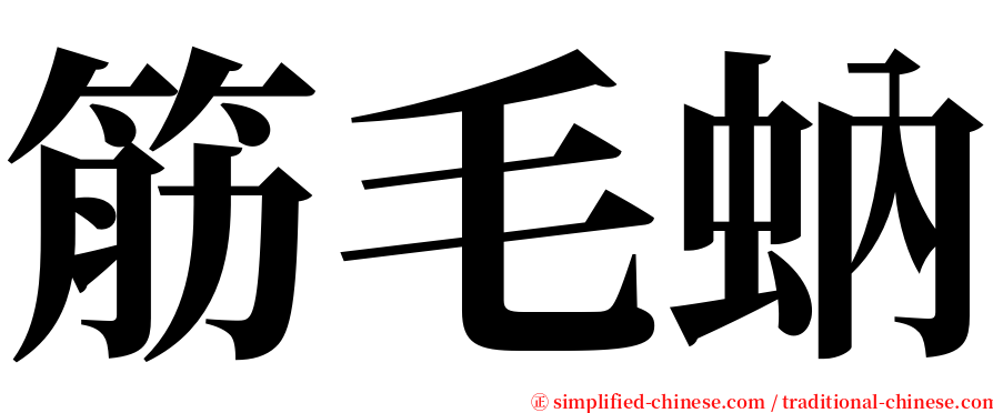 筋毛蚋 serif font