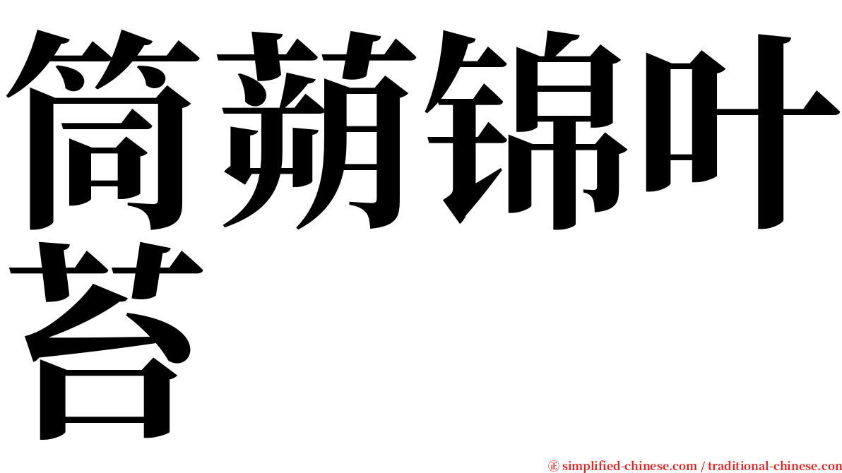 筒蒴锦叶苔 serif font