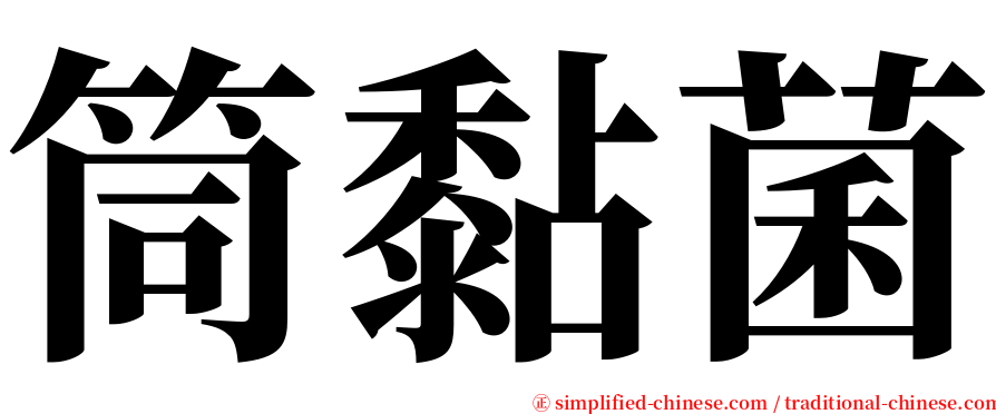 筒黏菌 serif font