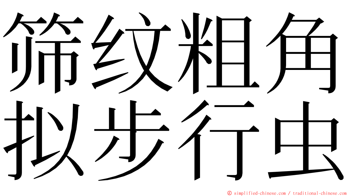 筛纹粗角拟步行虫 ming font