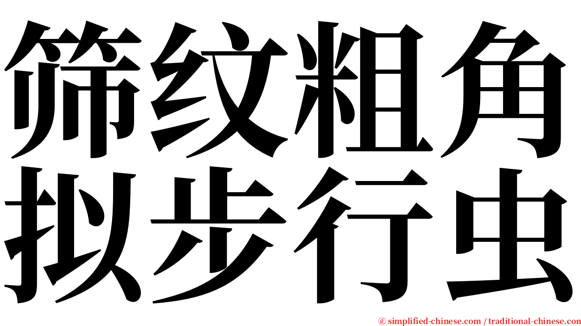 筛纹粗角拟步行虫 serif font